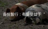 喜悦智行：有望受益于“双碳政策”，新募投项目即将启动