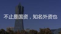 不止是国资，知名外资也盯上了云铝股份